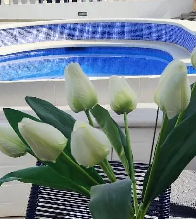 Ap383 Bajamar I Σπίτι διακοπών