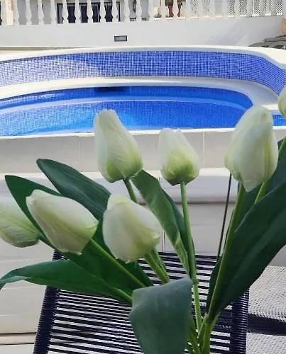 Ap383 Bajamar I Holiday home